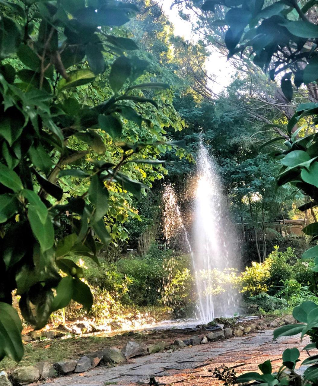Villa Musolino - Country Resort Messina Bagian luar foto