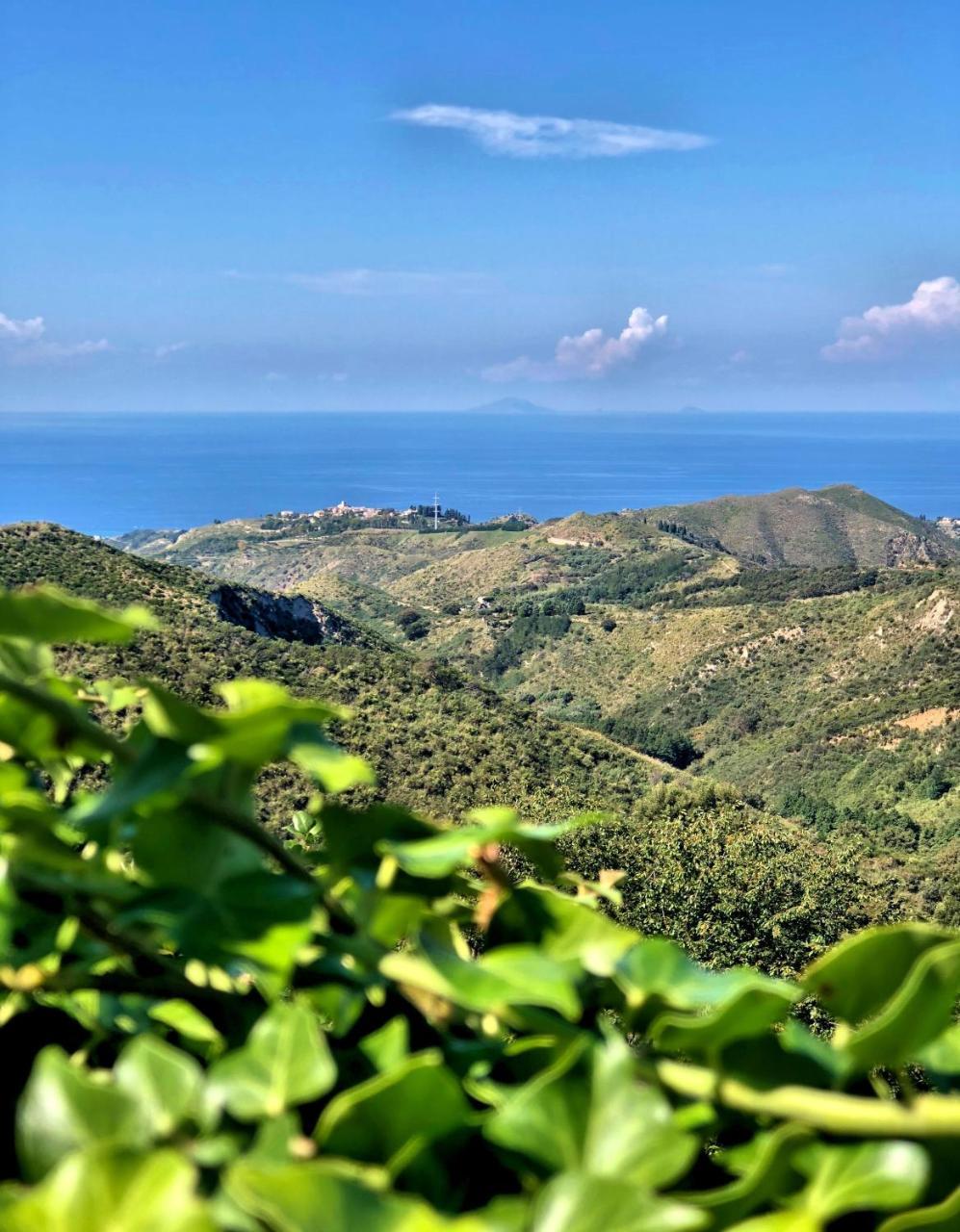 Villa Musolino - Country Resort Messina Bagian luar foto