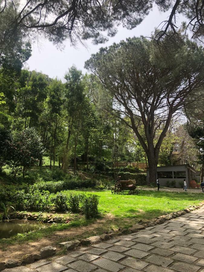 Villa Musolino - Country Resort Messina Bagian luar foto